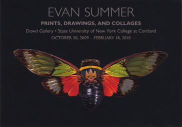 Evan Summer