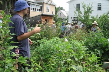 Rethinking urban gardens