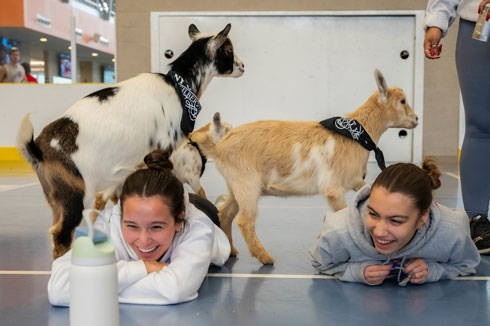 Capture-moment-Goat-Yoga.jpg