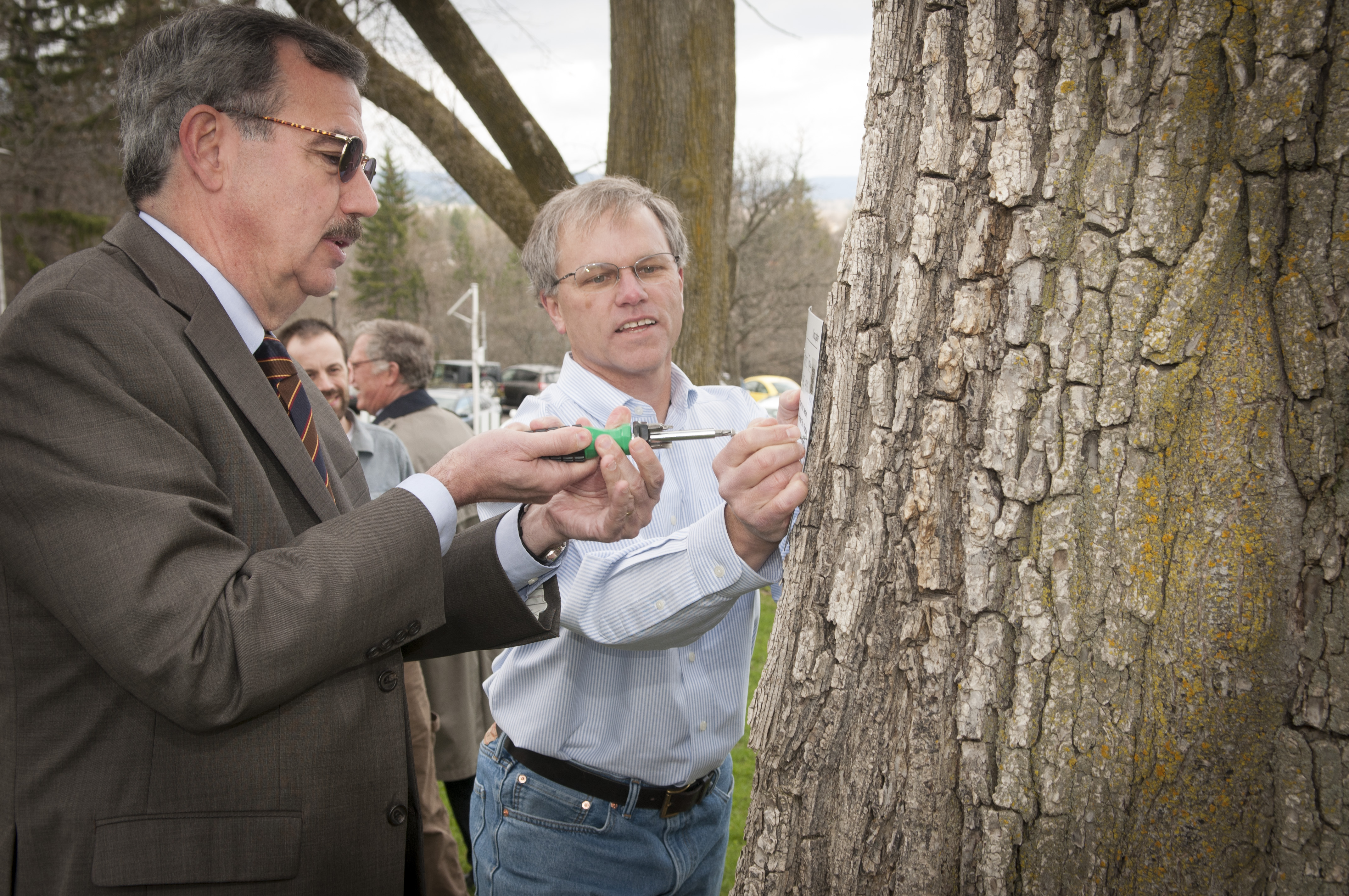 “Lofty Elm” Highlights Arbor Day Event