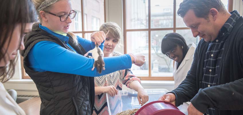 Students in psychology lab with rats