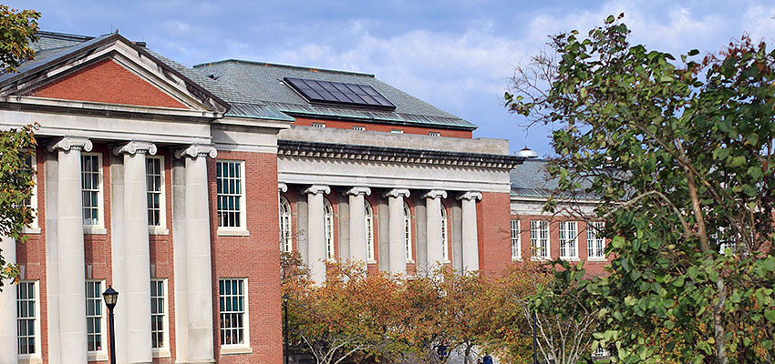 Womens Studies Banner