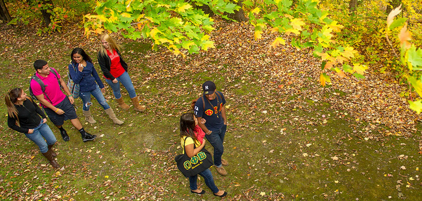 Students walking outside