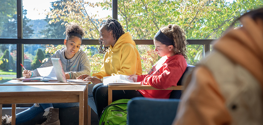 Students working together on a computer in Memorial Library