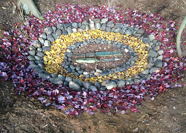 Rings of leaves and stones in the forest