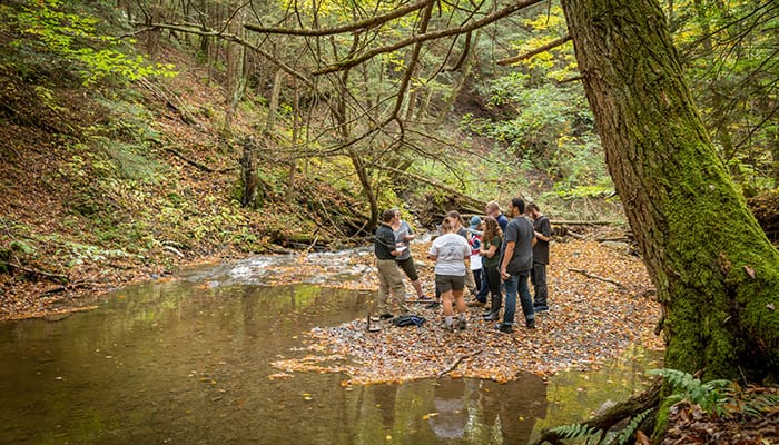 Geology students exploring a stream