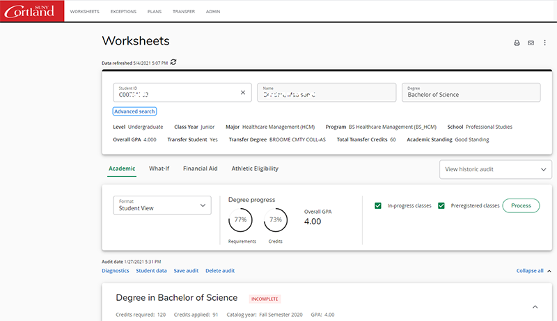 audit worksheet screenshot